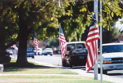 Street Of Flags